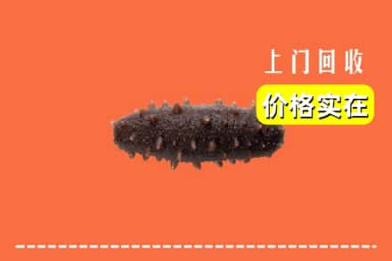 武威市天祝回收海参