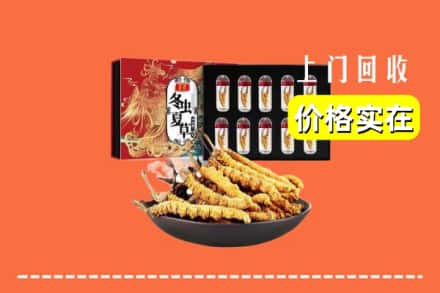 武威市天祝回收虫草
